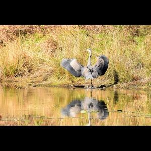 Meet your Posher, Denise